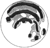 A naked eye map of the moon superimposed on the carving from Knowth Orthostat 47
