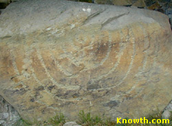 Knowth Kerbstone K84