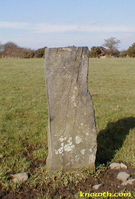 Standing Stone located 200 metres to the South East of Ardcath Mound