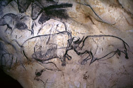 charcoal drawings from the Cave of Chauvet-Pont-d'Arc in France
