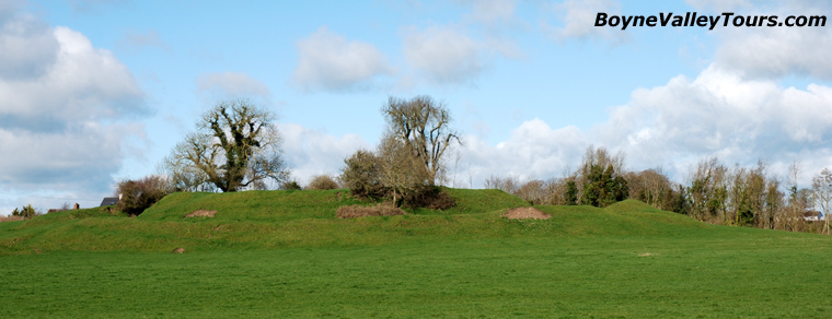 Danestown Ringwork Castle