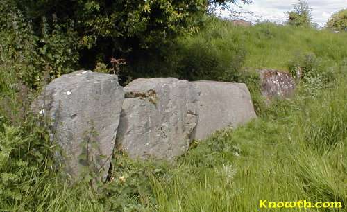 Dowth Kerbstones