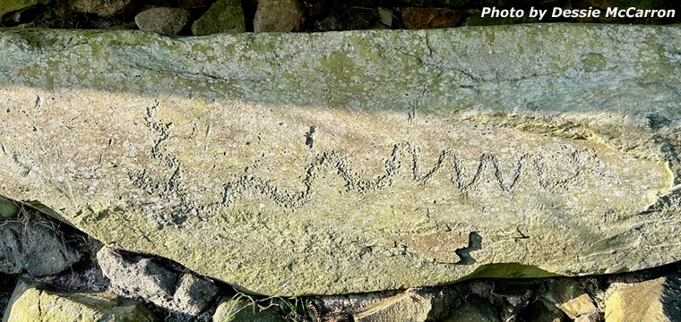 Knowth Kerbstone 118