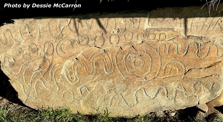 Knowth Kerbstone 78