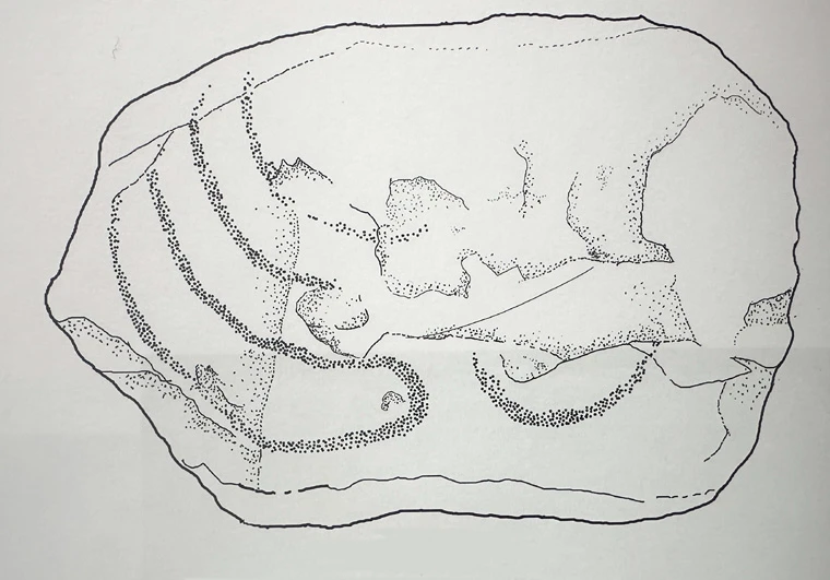 Knowth Kerbstone 88 Illustration