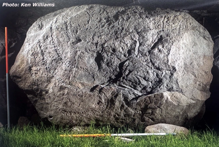 Knowth Kerbstone 88 - K88