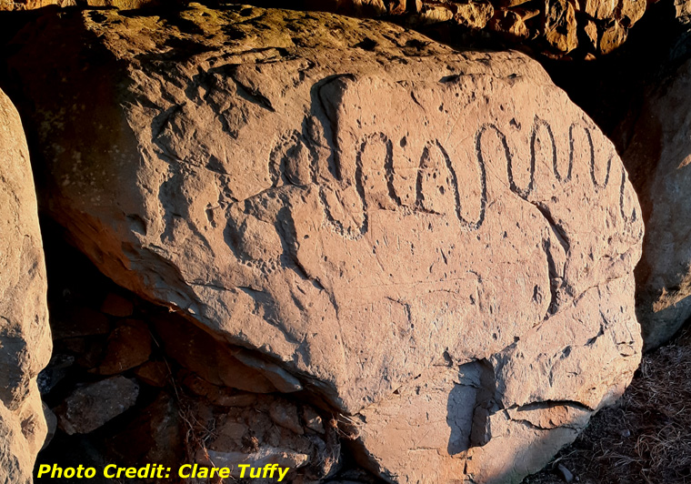 Knowth Kerbstone K91