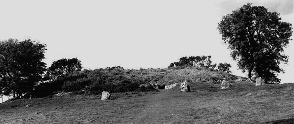 Photograph of Newgrange in the 1950s showing the grass-covered mound and entrance area before the 1960s excavations.