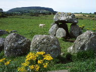 Carrowmore Dolmen