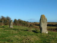 Baltray Standing Stones